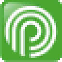 P2P终结者最高权限版下载 v4.35去广告绿色版