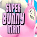 ˫