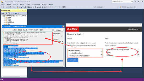 sql prompt 10 װ̳