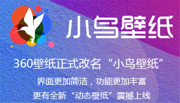 360小鸟壁纸