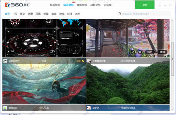 360小鸟壁纸