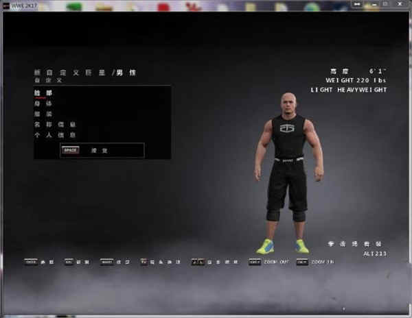 wwe2k17Ĳ ̳