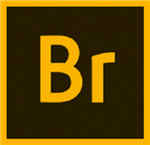 Adobe Bridge cc 2022ƽ ֱװ