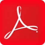 acrobat professional v11.0.10