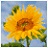 QuickHDRٷ԰ v1.0