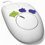 ShareMouse绿色版下载 v4.0.33鼠标键盘共享工具