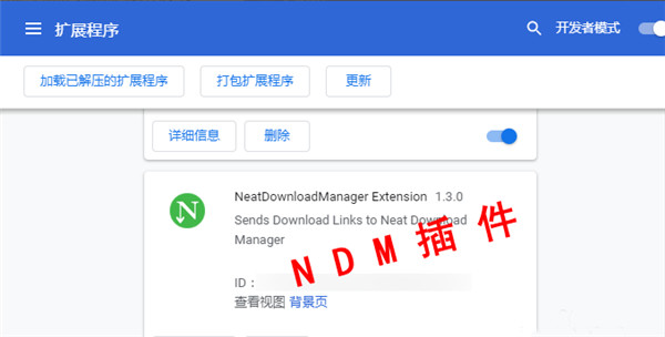 Neat Download Managerɫ v1.1.10ndm